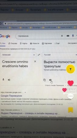 Переводчик топ перевëл