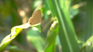 9255249-hd_1920_1080_24fps