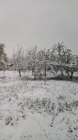 ЗИМА❄🌨ВЕСНОЙ💐