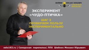 3 шаг эксперимента Чудо птичка