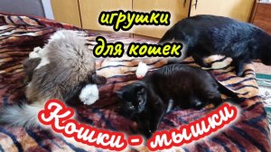 КОШКИ - МЫШКИ. Игрушки для кошек.