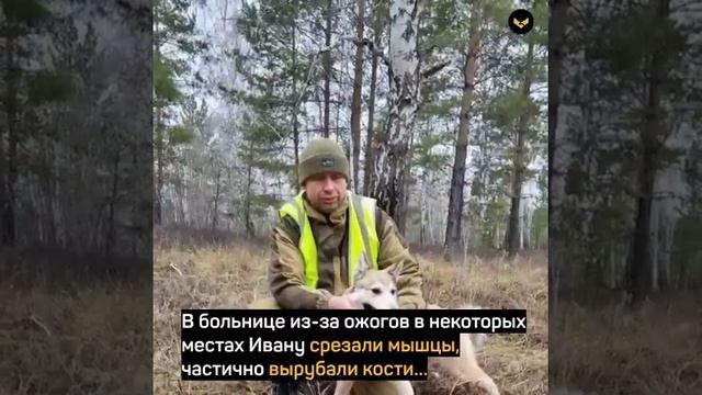 Непокоренный