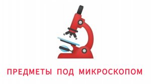ПРЕДМЕТЫ ПОД МИКРОСКОПОМ для детей развивающие мультики познавательное видео для малышей на русском