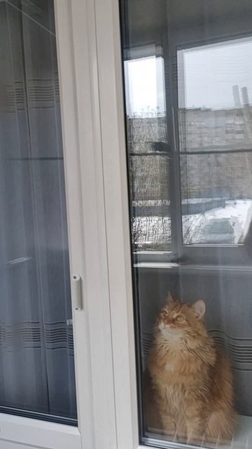 Иннокентий Ярославович смотреть онлайн