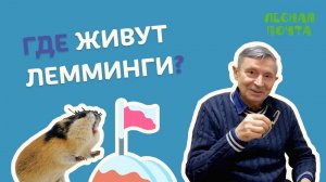 Лесная почта — Где живут лемминги? Геннадий Катаев