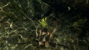 Прохождение SHADOW OF THE TOMB RAIDER ЧАСТЬ # 16 Охотимся на Капибару- Альбиноса
