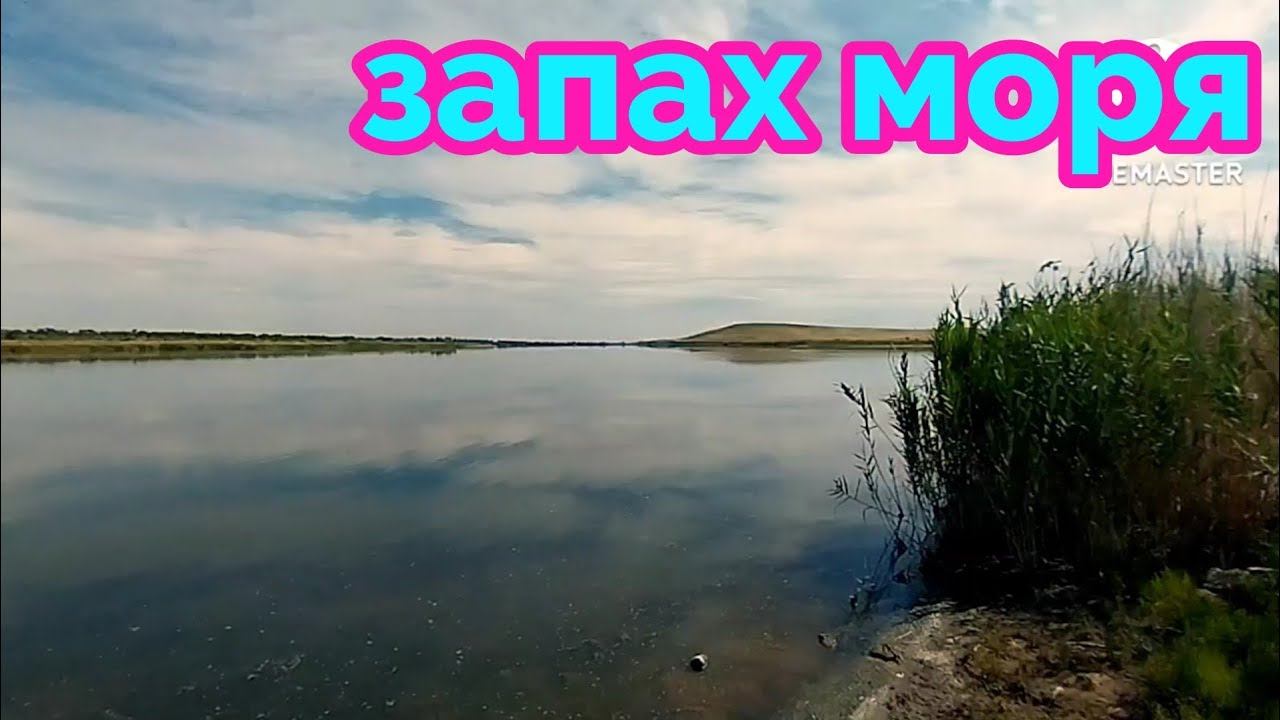переезд на Юг из Сибири/сосватали Дашу/черенкование роз-розы прижились, открываем