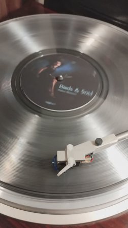 Polina Rostova - Don't Fall (Online/Vinyl/Music)