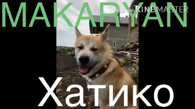MAKARYAN Хатико [ Премьера трека 2020 ]