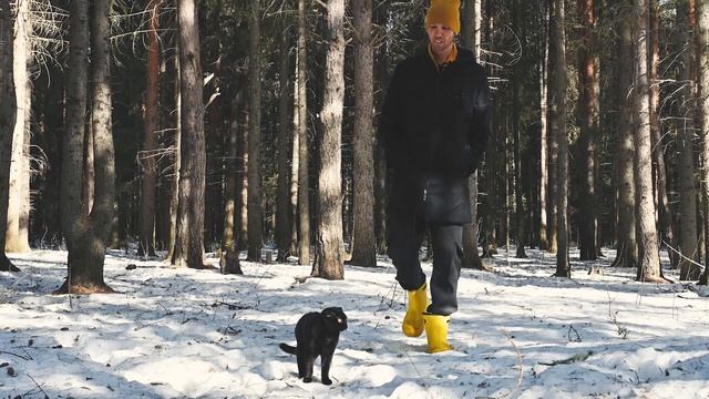 Уютная гора. Доступная и живописная достопримечательность Волчанска смотреть онлайн