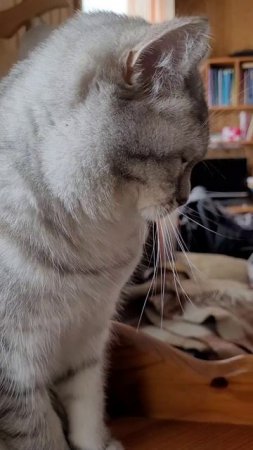 Полотенце
