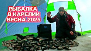 РЫБАК ПОШЕЛ НА ОЗЕРО ЗА РЫБОЙ ТАКОГО НЕ ОЖИДАЛ. РЫБАЛКА В КОНЦЕ МАРТА 2025 НА БЛЕСНУ И МОРМЫШКУ