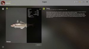 Что делать, если не клюет на МОРЕ... Подбор ПРИМАНОК ● Русская Рыбалка 4 | РР4