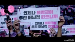 BLACKPINK 2025 WORLD TOUR: Special Moments With BLINKS