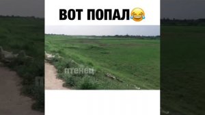 Вот попал 😂
