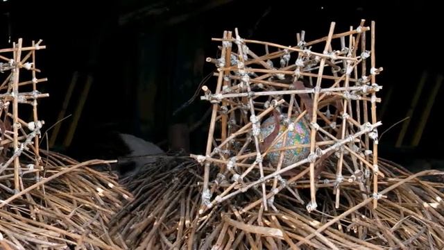 GLOBLINE NZ Skyscraper Один ФутОкуб 2009 11 13 смотреть онлайн