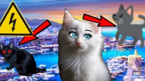 Чёрная кошка УБИЙЦА ПОЗВОНИЛА МНЕ?!