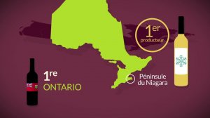 Виноградарство в Канаде - Краткая справка