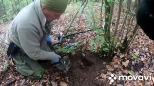 Огромный наконечник стрелы-срезень вильчатый