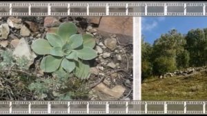 Проект МКУК Искитимская ЦБС Семь чудес Искитимского района