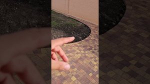 Укладка тротуарной плитки и пластикового бордюра в Краснодаре | Максим бондарчук