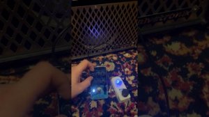EQD The Warden (clone) demo