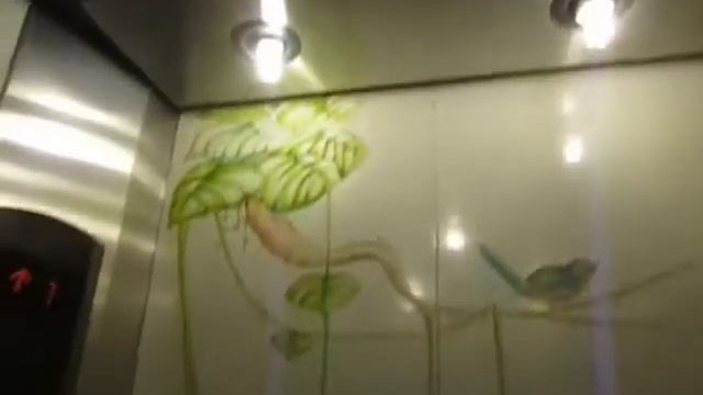 Mitsubishi Traction Elevators at The Royal Pita Maha Resort, Ubud, Bali (Villas Access)