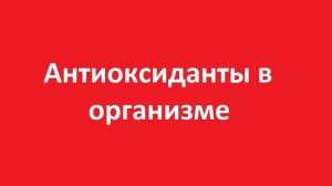 Антиоксиданты в организме