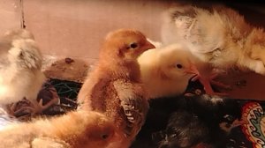 Слава Богу всё обошлось / продажи пошли.