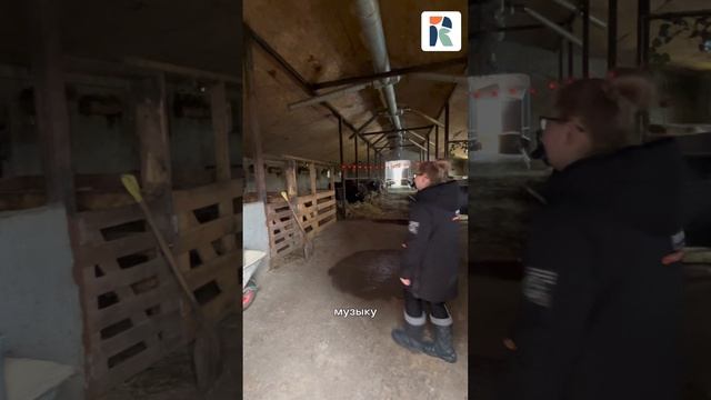 🤩Кому вкусного сыра?!