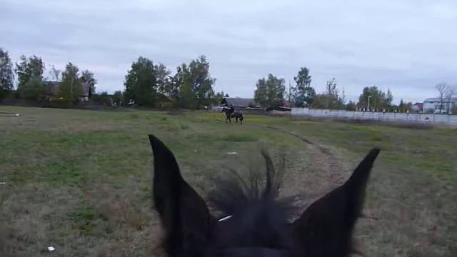 P1060366.MOV смотреть онлайн