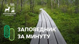 Лапландский заповедник за минуту