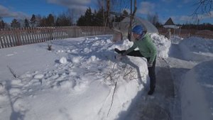 6 соток 20 марта 2021 марта. НАСТ ломает кустарники! Много снега...