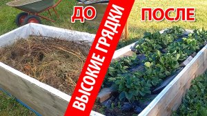 Высокие грядки своими руками из строительных остатков. Наполняю сорняками и мусором