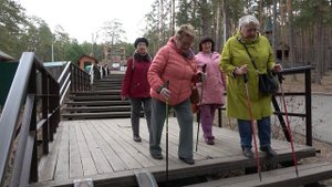 Чемал, Патмос, Катунь, тропы и сосны вековые.