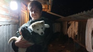 Хлеб и морковка для НУТРИЙ на завтрак. Ремонт вольера продолжается. 07.04.25