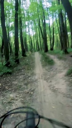 Спот маяк большая линия