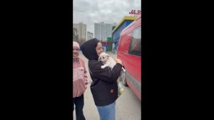 4 щенка и Бия едут домой! 
Встреча с владельцами.