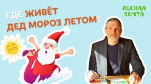Где живет Дед Мороз летом? Лесная почта Лапландского заповедника