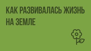 Как развивалась жизнь на Земле. Видеоурок по природоведению 5 класс