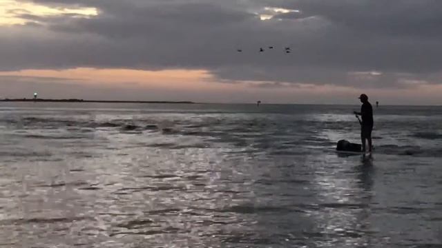 Magical Sunset Dolphin SUP Session Marco Island / Isle of Capri смотреть онлайн