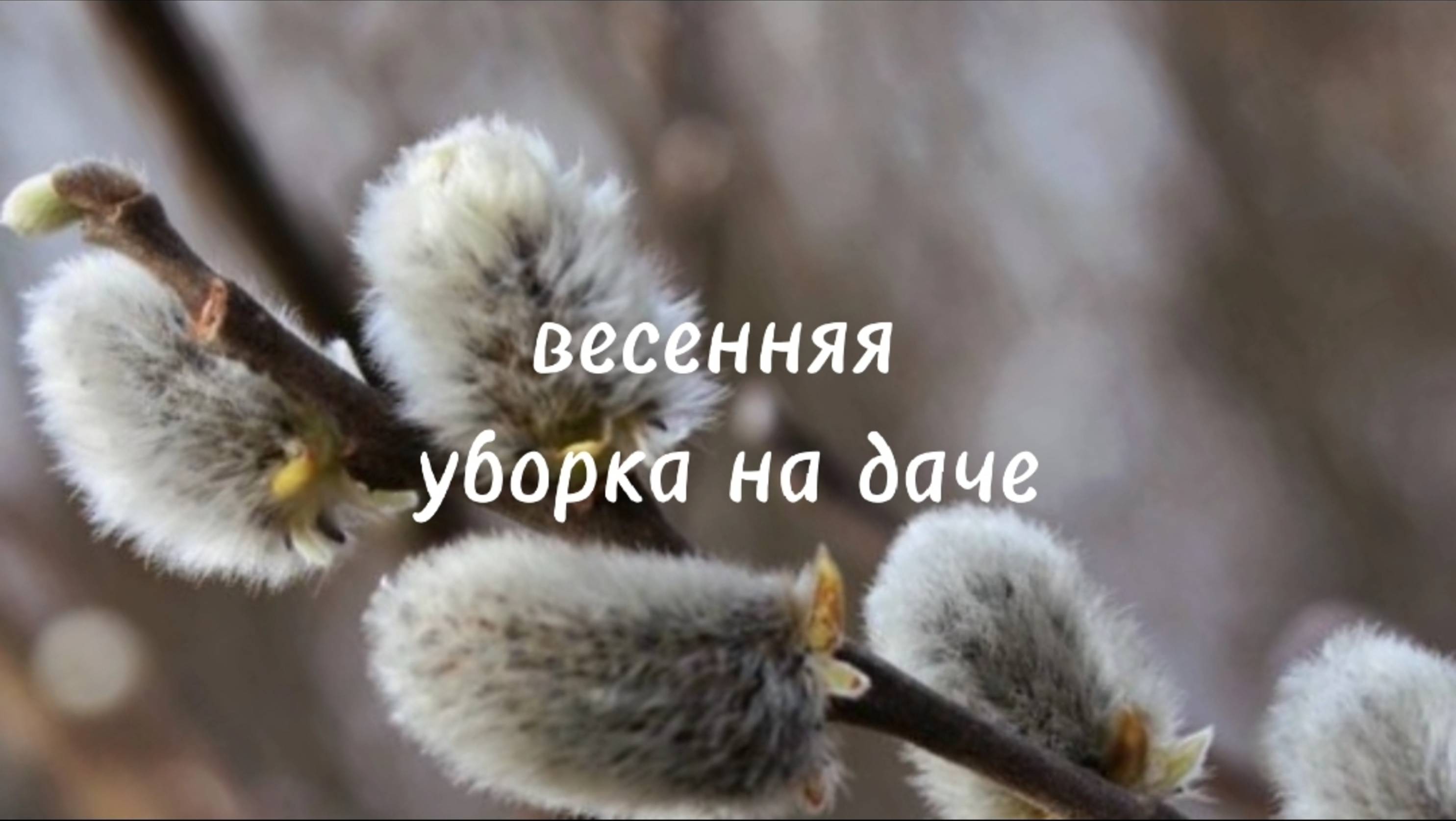 Весенняя уборка на даче.