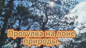 7 ветров, дачи. Прогулка на лоне природы