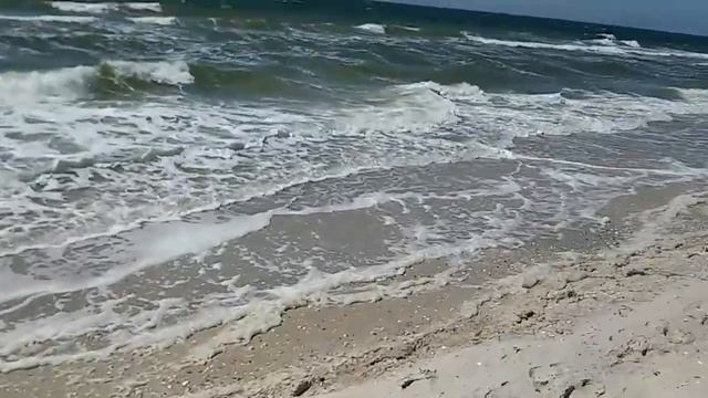 покатушки на тракторе по пляжу 22.04.16