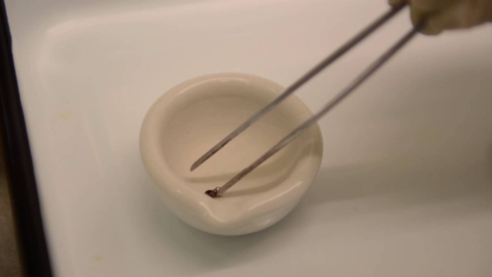 В Челябинской области проснулись клещи смотреть онлайн