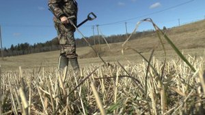 Искали следы шведских поселений, а наткнулись следы на Викингов. Карельский перешеек. Апрель 2025 г