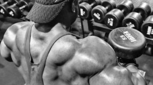 Forskolin WESTPHARM™