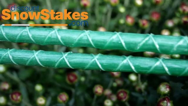 The Best Fiberglass Garden Stakes And How To Grow Straight Plants And Vines