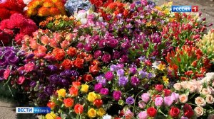 Почему не нужно носить на кладбище пластиковые цветы