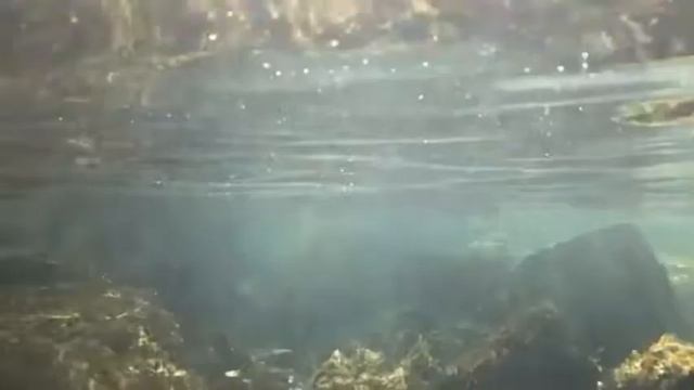 Настроение купаться и нырять под воду смотреть онлайн